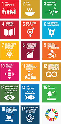 Les Objectifs de développement durable